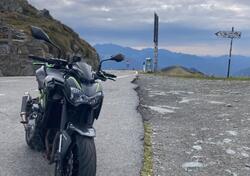 Kawasaki Z 900 (2019) usata