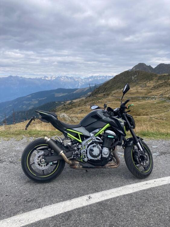 Kawasaki Z 900 (2019) (2)