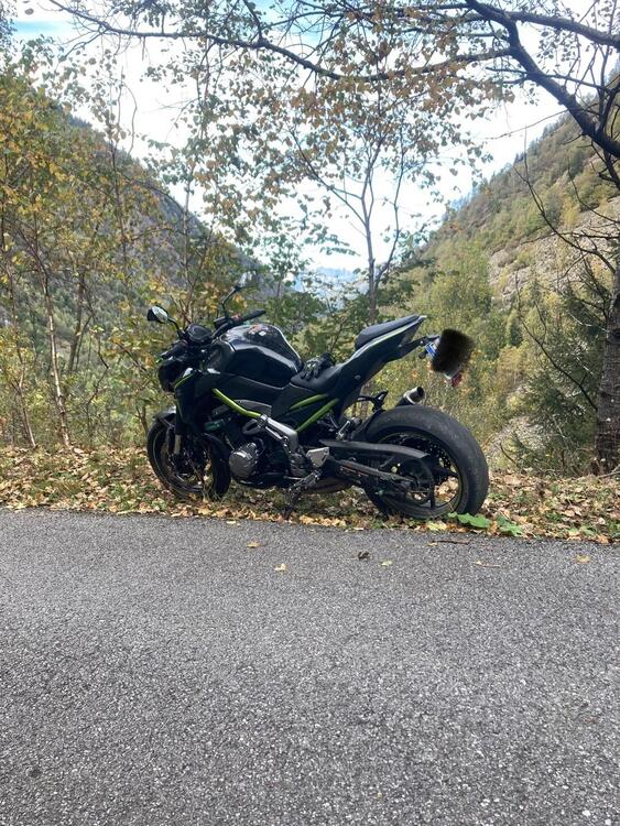 Kawasaki Z 900 (2019) (3)