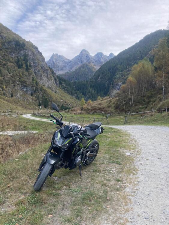 Kawasaki Z 900 (2019) (4)