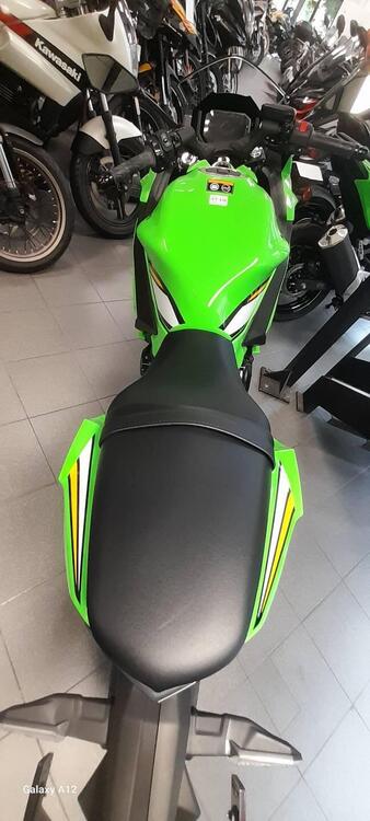 Kawasaki Ninja 650 (2025 - 26) (4)