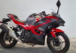 Kawasaki Ninja 500 SE (2024 - 25) nuova