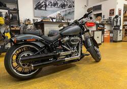 Harley-Davidson Softail Standard (2021 - 25) usata