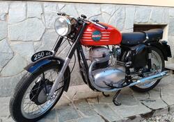 Benelli Leonessa 250 d'epoca