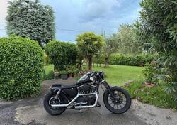 Harley-Davidson 883 Standard (1994 - 00) - XLH usata