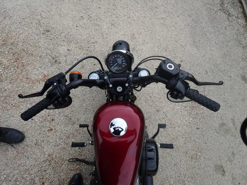 Harley-Davidson XL 1200 X Forty-Eight (2018) (14)