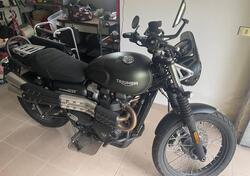 Triumph Street Scrambler 900 (2021 - 22) usata