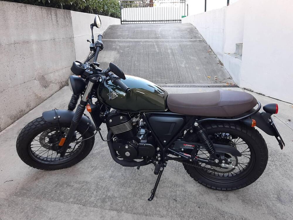 Archive Motorcycle AM 70 250 Cafe Racer (2022 - 24) (5)