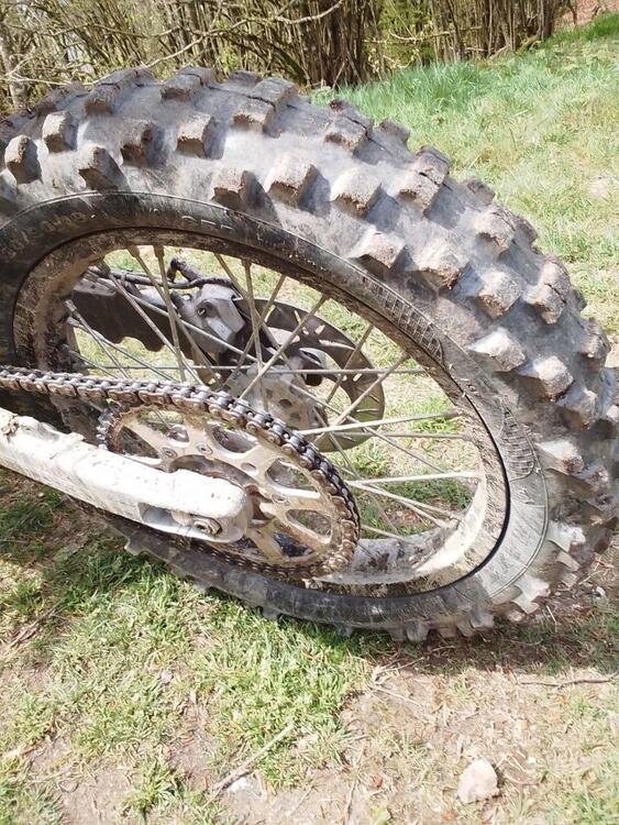 Scorpa T-Ride 250 F (2)