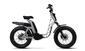 Fantic Motor Issimo 25 Urban (2022 - 25) (6)