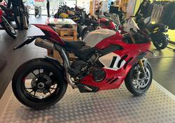 Ducati Panigale V4 R (2023 - 24) usata