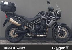 Triumph Tiger 800 XRx (2015 - 17) usata