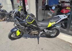 QJ Motor SVT 650 X (2024 - 25) nuova