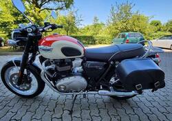 Triumph Bonneville T100 (2017 - 20) usata