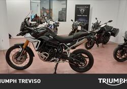 Triumph Tiger 900 Rally Pro (2024 - 25) usata