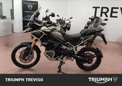 Triumph Tiger 1200 Rally Pro (2024 - 25) usata