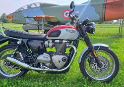 Triumph Bonneville T120 Bud Ekins SE (2020) usata