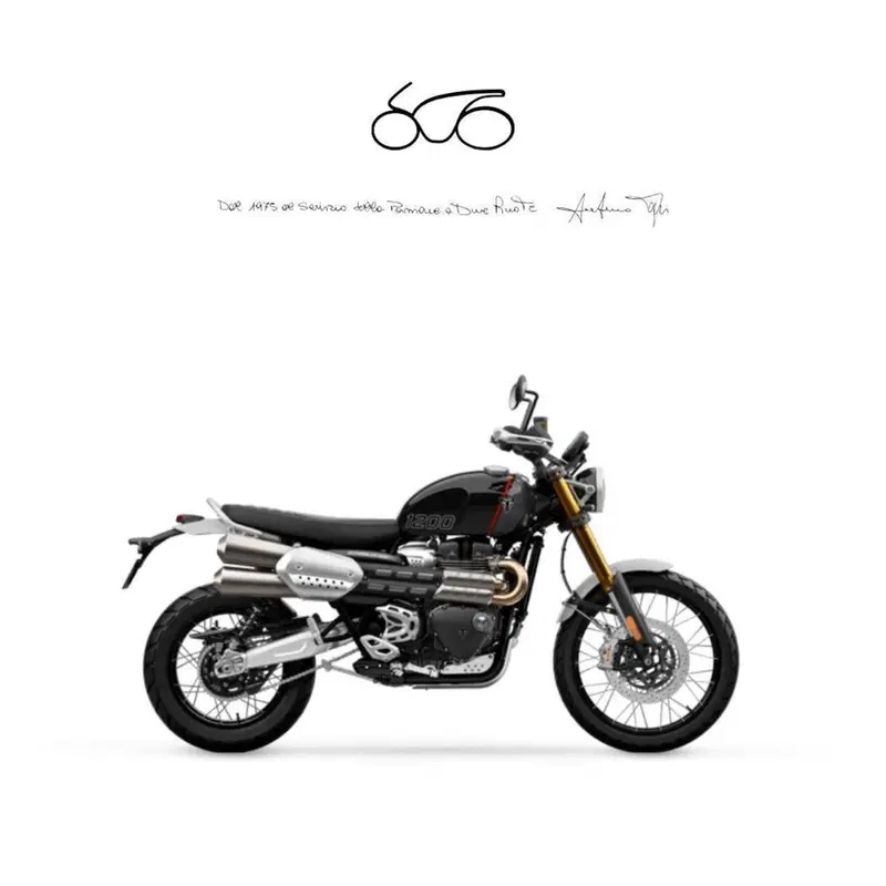 Triumph Scrambler 1200 X (2024 - 26)