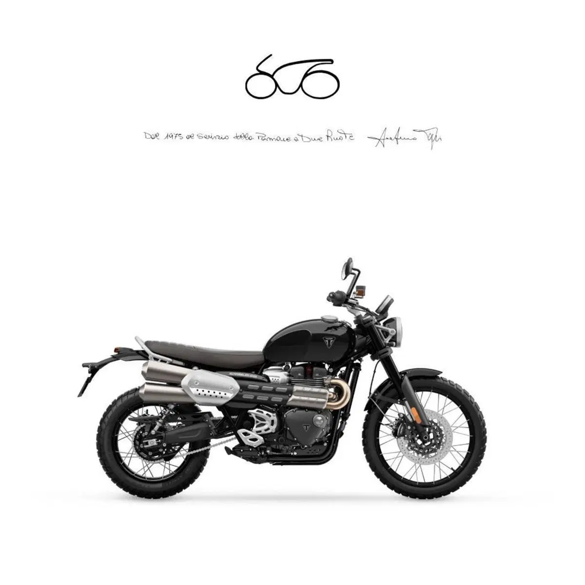 Triumph Scrambler 1200 X (2024 - 26)