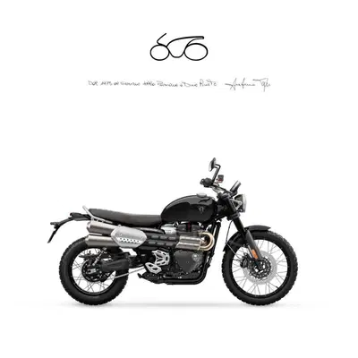 Triumph Scrambler 1200 X (2024 - 26) nuova