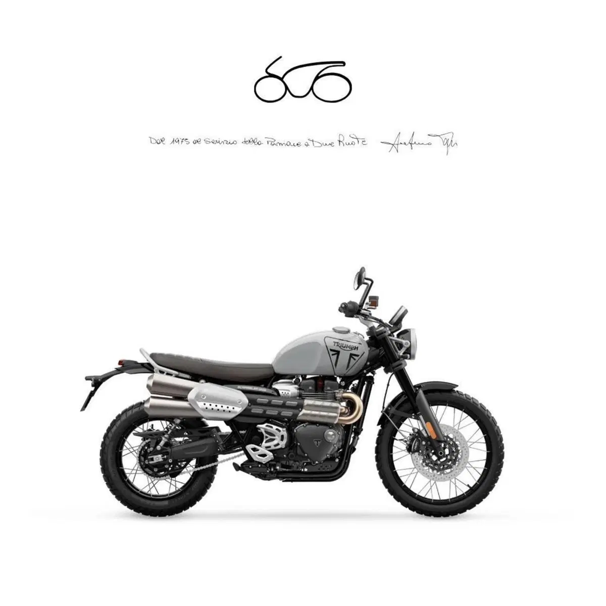 Triumph Scrambler 1200 X (2024 - 26)