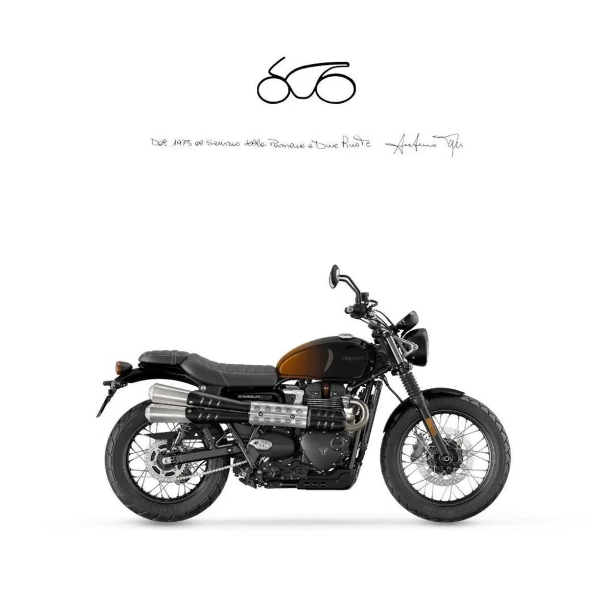 Triumph Scrambler 900 (2026)
