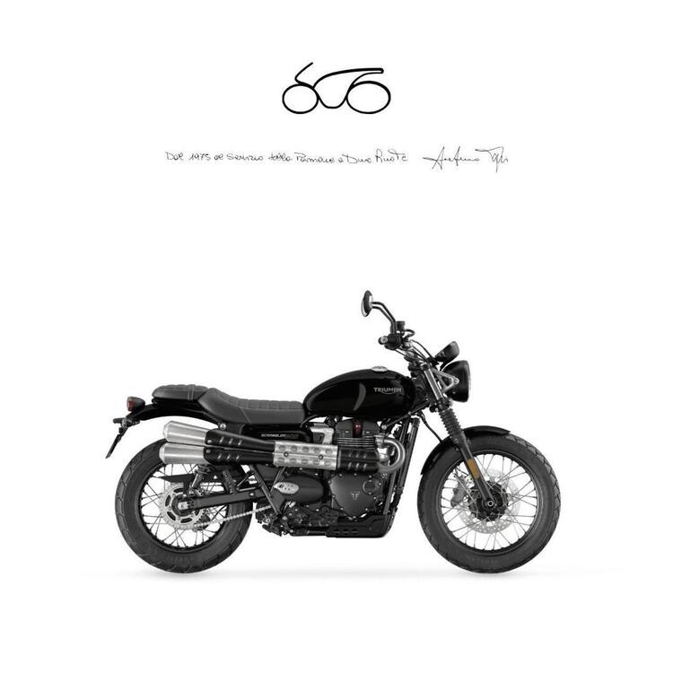 Triumph Scrambler 900 (2023 - 25)