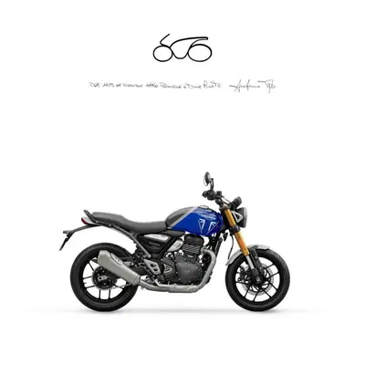 Triumph Speed 400 (2024 - 26) nuova