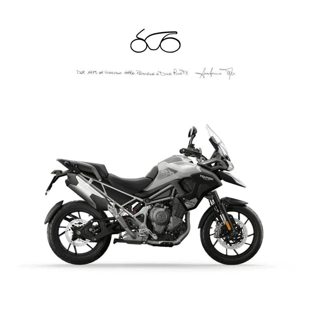 Triumph Tiger 1200 GT (2022 - 25)