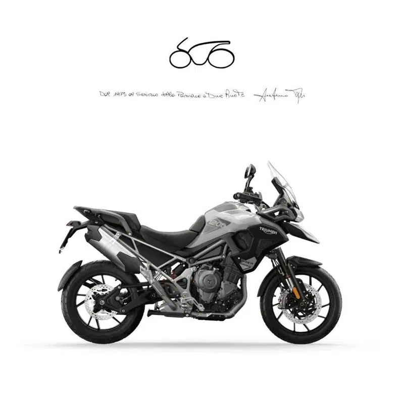 Triumph Tiger 1200 GT (2022 - 25)