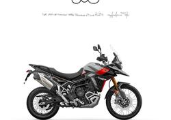 Triumph Tiger 900 Rally Pro (2024 - 25) nuova