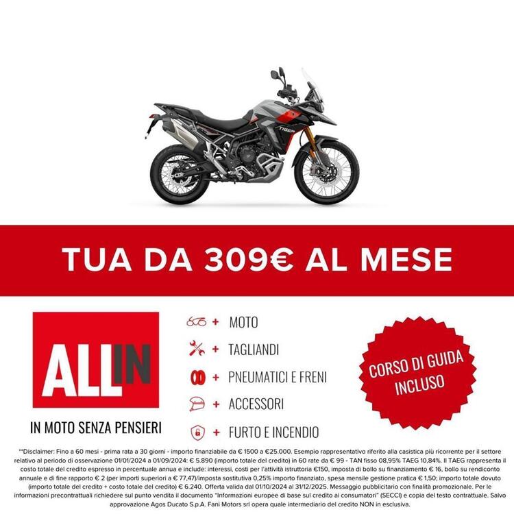 Triumph Tiger 900 Rally Pro (2024 - 25) (2)