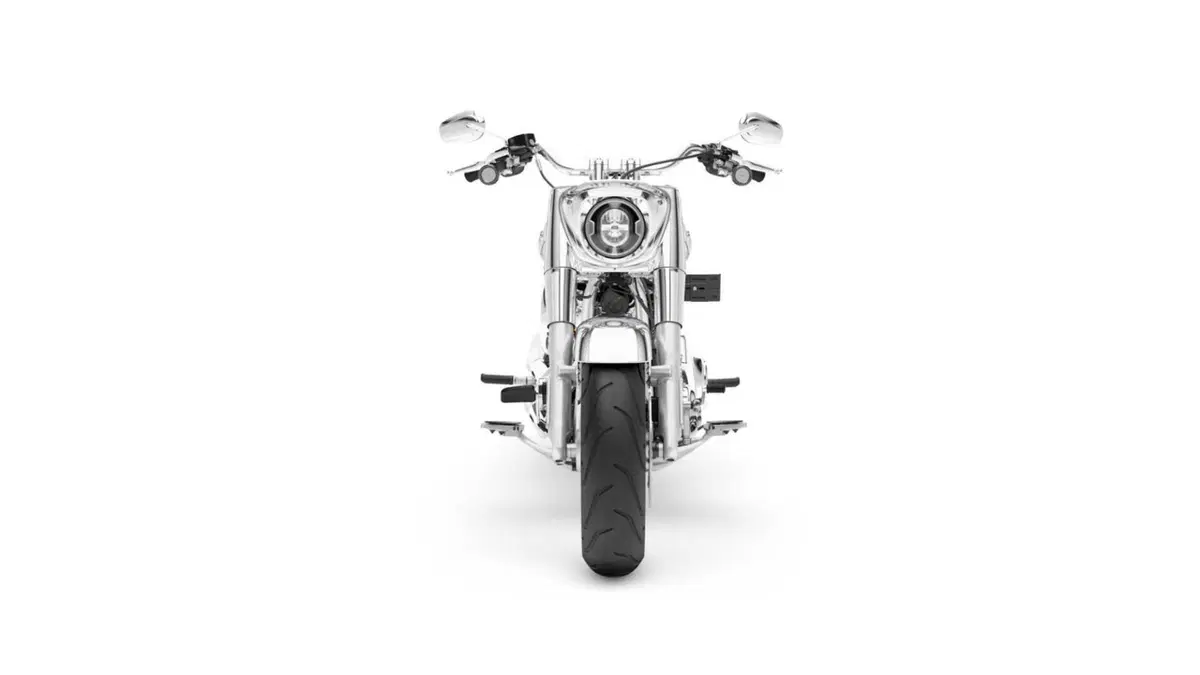 Harley-Davidson Softail-Cruiser Fat Boy Gray Ghost (2025) (8)