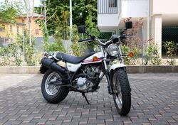 Suzuki Van Van RV 125 (2006 - 17) usata