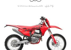GASGAS EC 250 F (2025) usata