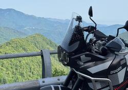 Ducati DesertX (2022 - 25) usata
