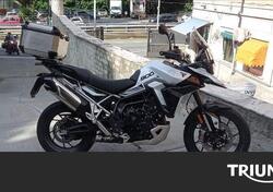 Triumph Tiger 900 GT Pro (2024 - 25) usata