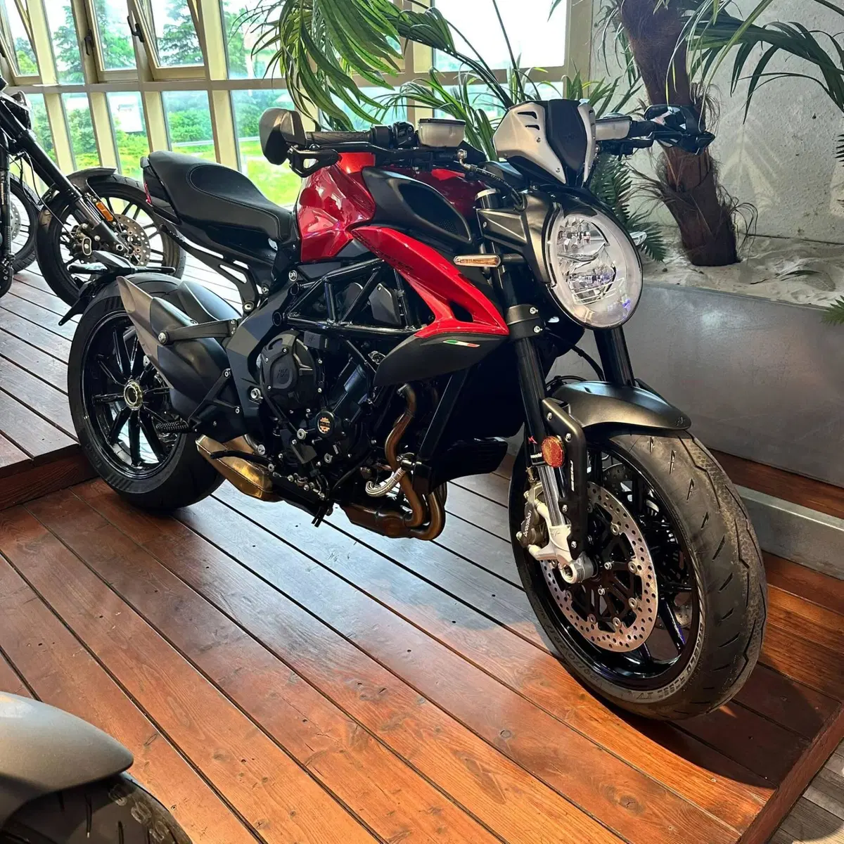 MV Agusta Dragster 800 R (2023 - 25)