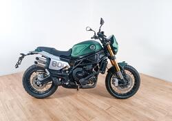 Benelli Leoncino 800 (2022 - 25) usata