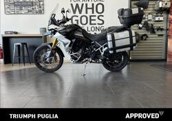 Triumph Tiger 900 Rally Pro (2020 - 23) usata