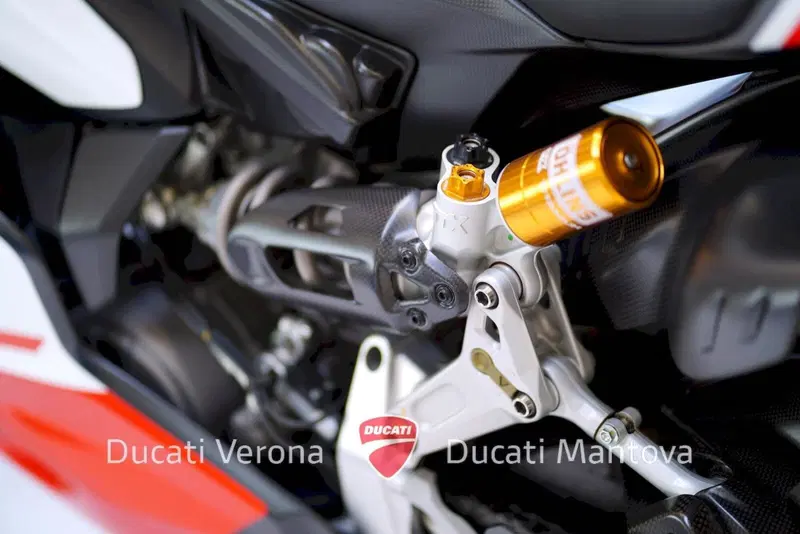 Ducati Superleggera 1299 (2017) (14)