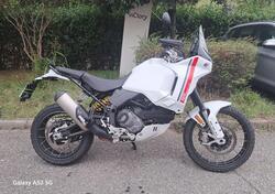 Ducati DesertX (2022 - 25) usata