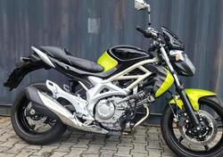 Suzuki Gladius 650 SFV (2009 - 15) usata