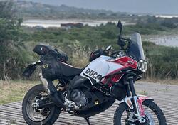 Ducati DesertX (2022 - 25) usata