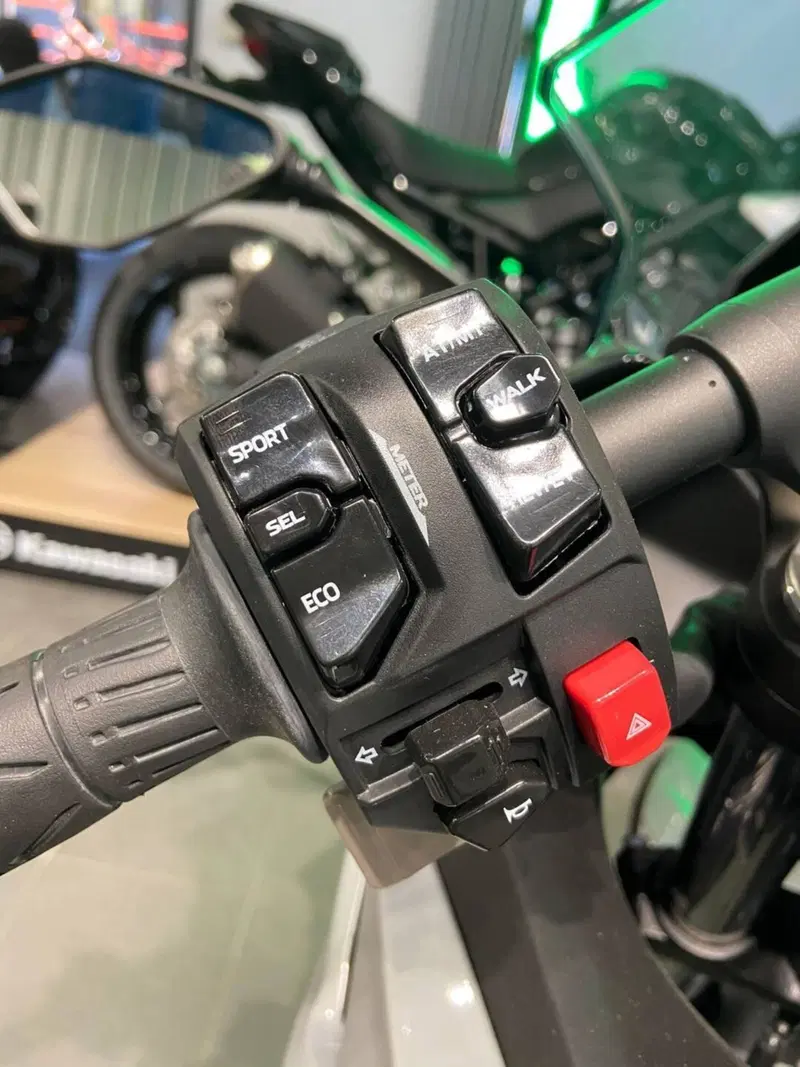 Kawasaki Ninja 7 Hybrid (2024 - 26) (6)