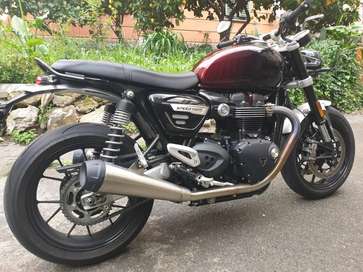 Triumph Speed Twin 1200 Stealth Edition (2024)
