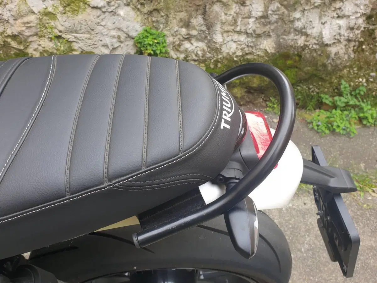 Triumph Speed Twin 1200 Stealth Edition (2024) (5)
