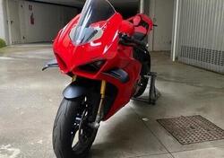 Ducati Panigale V4 S (2022 - 24) usata