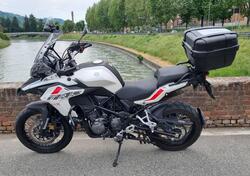 Benelli TRK 502X (2020) usata