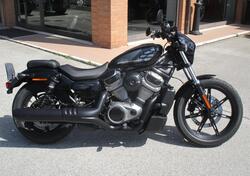 Harley-Davidson Nightster (2023 - 25) usata